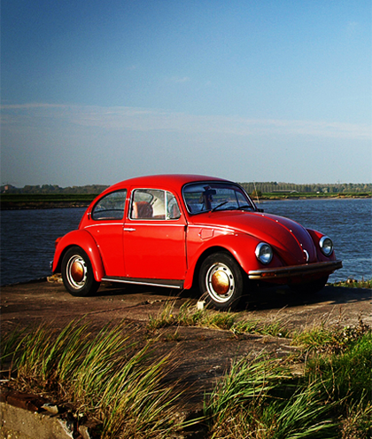 Red Beetle